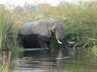 DSCN2862.webp