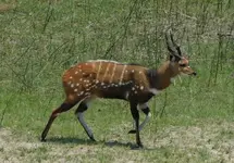 DSCN3108.webp