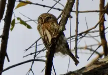 DSCN2972.webp