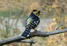 DSCN2815.webp