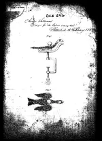 Waterman1.webp