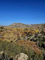 20231023_100619.webp