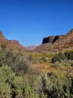 20231023_105310.webp
