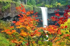 Sliver Falls Oregon with some color.webp
