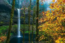 Tipical yellow color at Silver Falls Oregon.webp