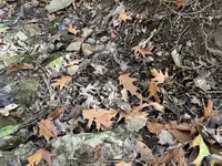 IMG_6918.webp