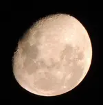 DSCN5169.webp