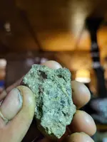 20231031_213007.webp