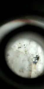 Screenshot_2023-10-24-12-24-13.webp