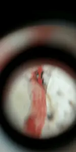 Screenshot_2023-10-24-12-20-12.webp