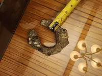20231029_203103.webp