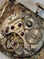 20231104_160337.webp