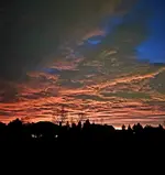 20231105_055210.webp