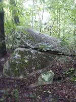 20200918_100925.webp