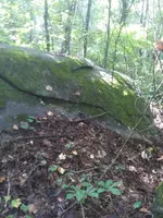 20200918_111521.webp