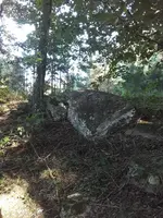 20200907_181635.webp