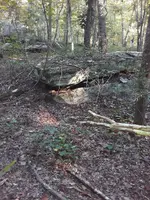 20200907_182213.webp