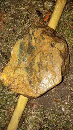 IMG_20231118_212735252.webp