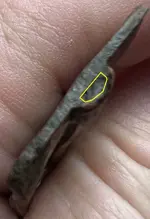 Possible lid.jpg