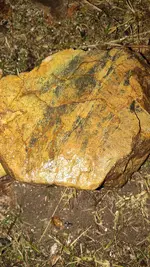 IMG_20231118_212730403.webp