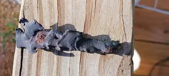 IMG_20230816_173410.webp