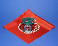Mosquito_coil.webp