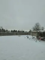 20231124_094024.webp