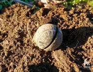 DSC_0002_WM.jpg DSC_0002_WM.jpg
