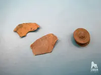 P1001186_WM.webp