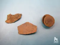 P1001187_WM.webp