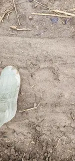 20231202_084904.webp