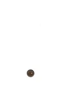 scan_231208-005420_1.webp