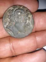 1702321361897.webp