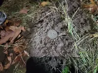 20231211_194322.webp