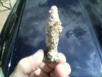 0828081430bullet.webp