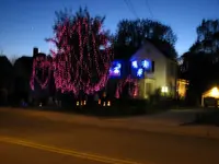 IMG_0006.webp IMG_0006.webp