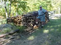 wood1.webp