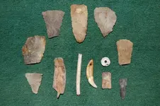 Fuert Site Finds (6).webp