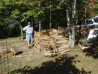 wood4.webp