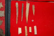 Fuert Site Finds (32).webp