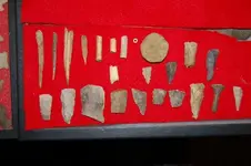 Fuert Site Finds (34).webp