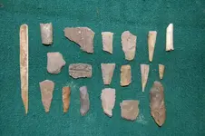 Fuert Site Finds (46).webp