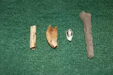 Fuert Site Finds (66).webp