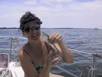 SHARK!.webp