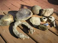 riverfinds 022.webp