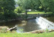 mill1.webp