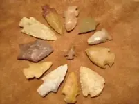DSCN1086.webp