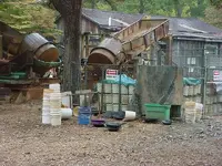 DSC00236.webp