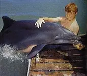 flipper3_2.webp