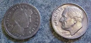 Dimes1.webp